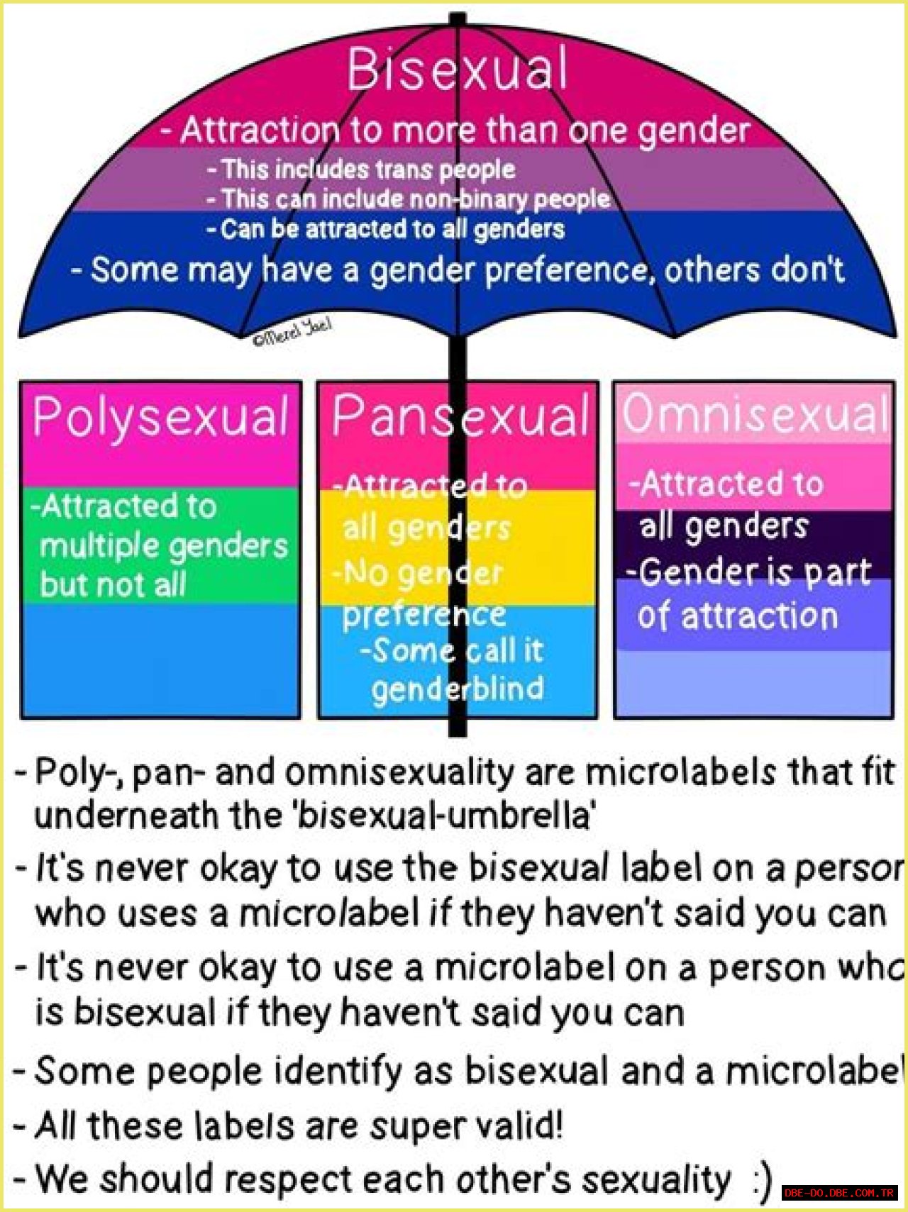 Antony's Bisexuality: Exploration Of Identity And Acceptance