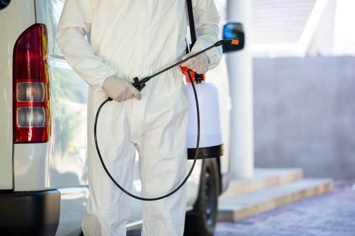 Fumigation pest warehouse indiamart Automotive pest control