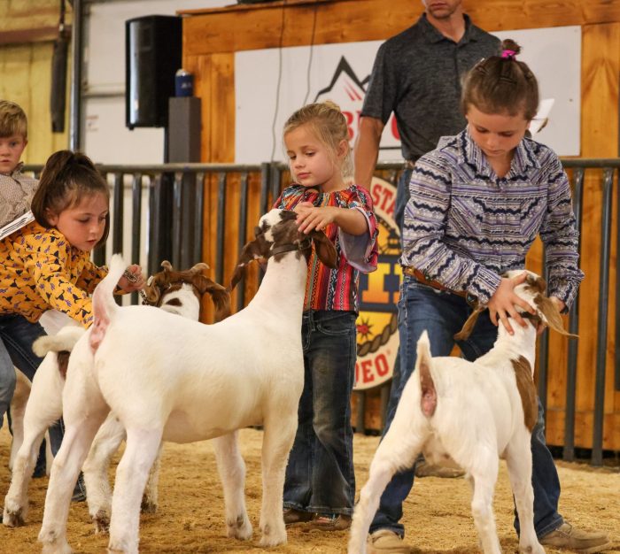 Black hills stock show 2025