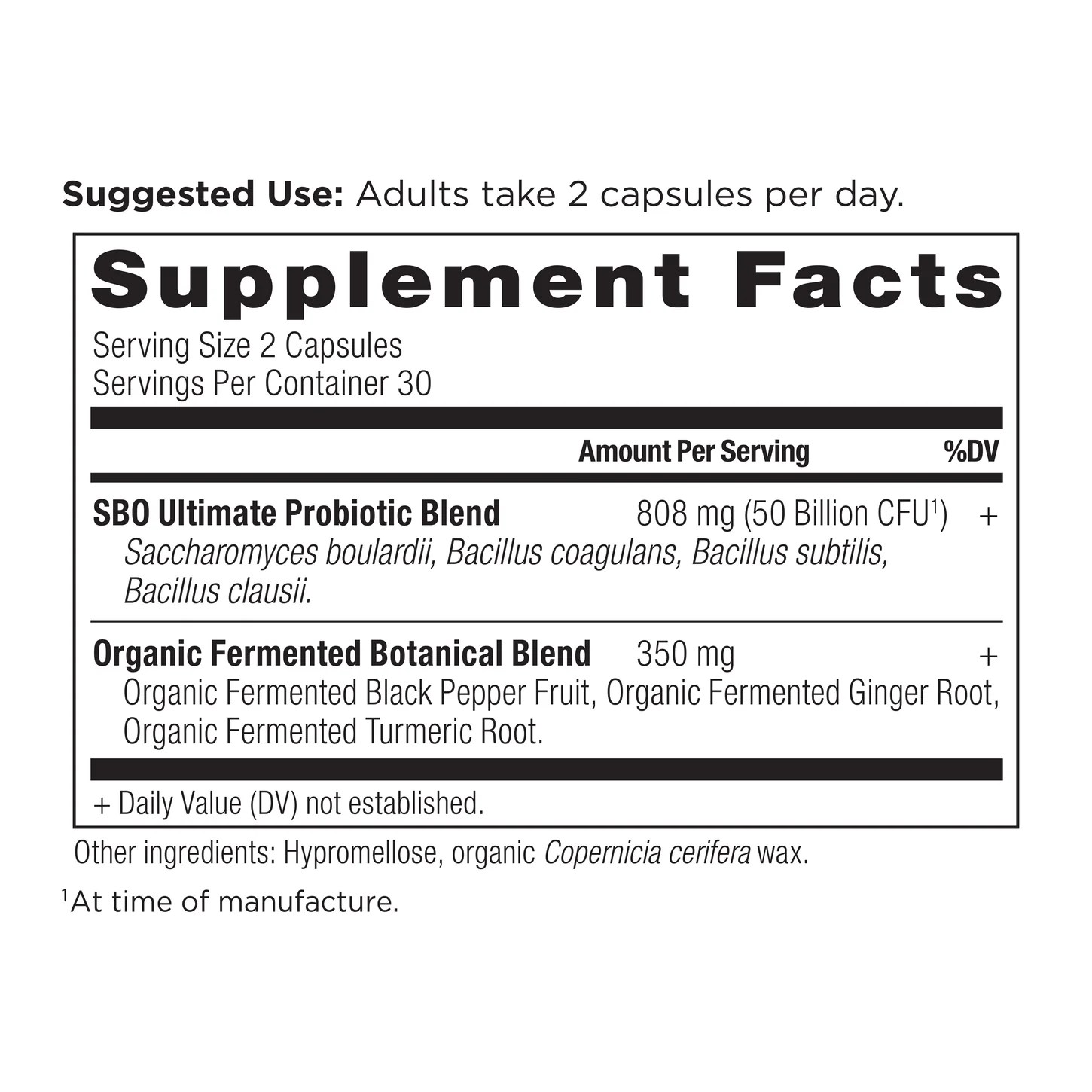 Sbo probiotics ultimate nutrition ancient probiotic traditionally ayurveda combines diverse herbs strains support used