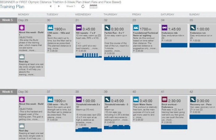 Olympic triathlon training plan