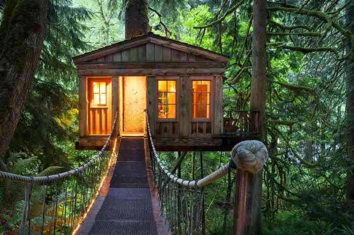 Treehouse plans