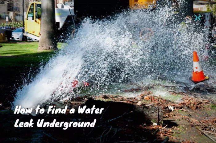 Underground water leak detector