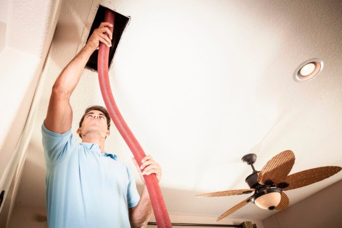 Acremonium in air ducts
