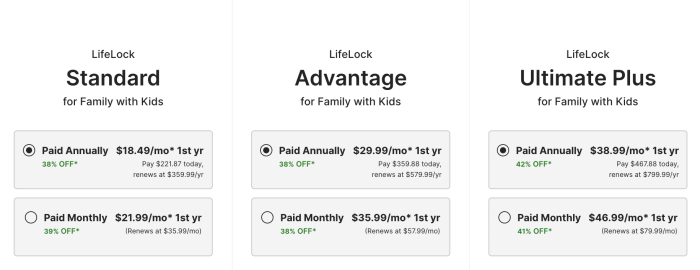 How much does lifelock cost llpromocodes.com