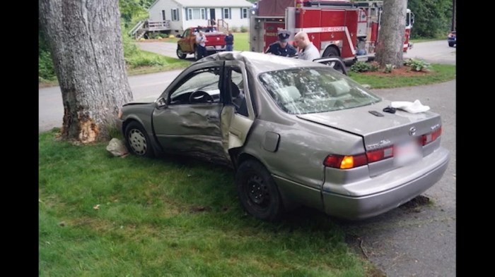 Eliza norton car accident