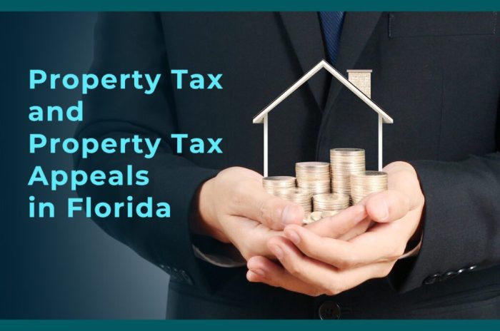 Desantis property tax