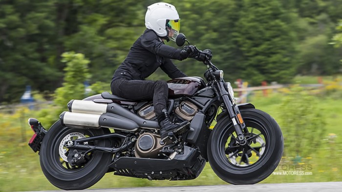 Front air suspension harley davidson