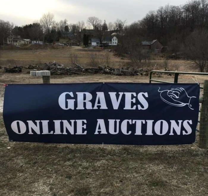 Graves online auctions mazeppa mn