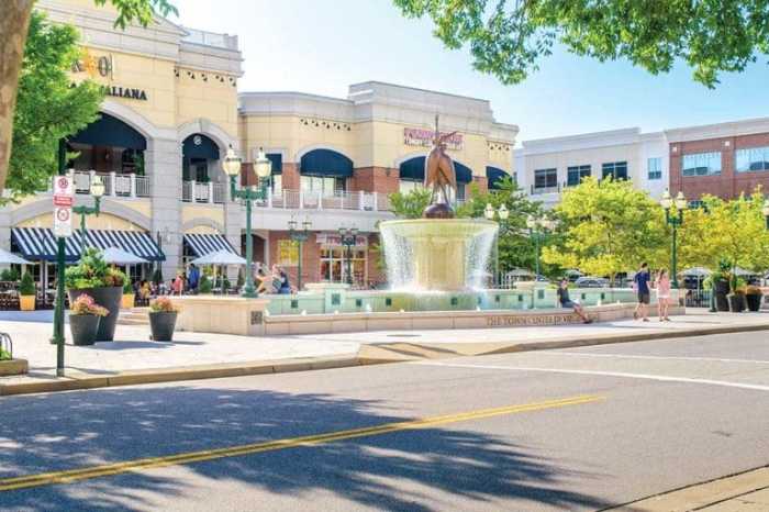 Town center virginia beach news