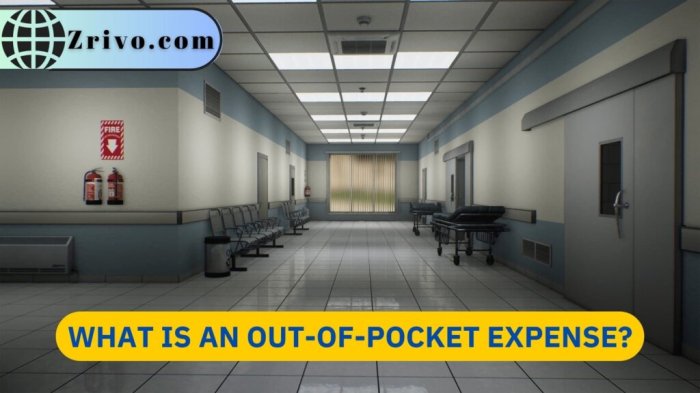 Paying out of Pocket. Need Help from anyone who is good with estimates ... Pay out of pocket car accident