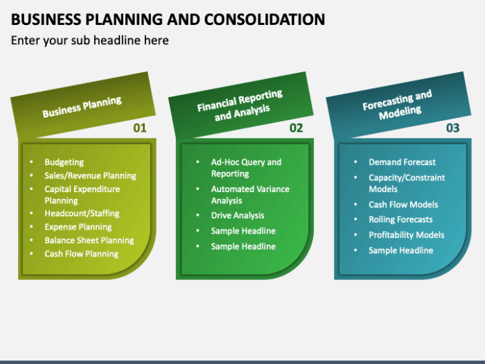 Businessobjects planning and consolidation