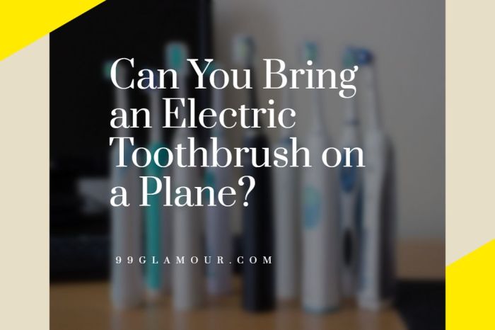 Can you take electric toothbrush on plane