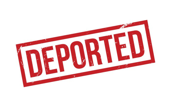 Can you get deported for a car accident
