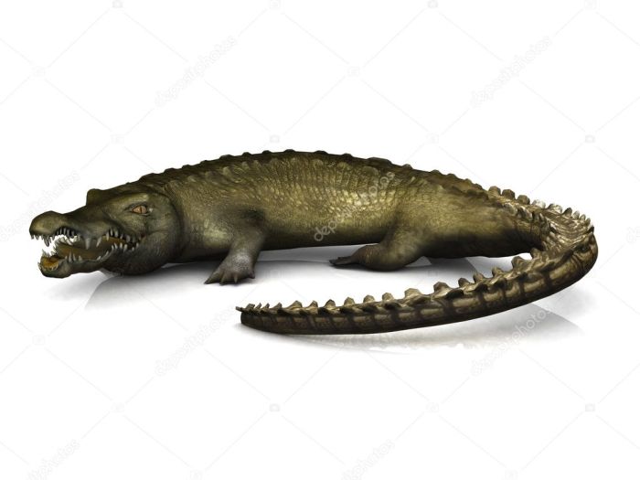 Croc boss crocs Big croco