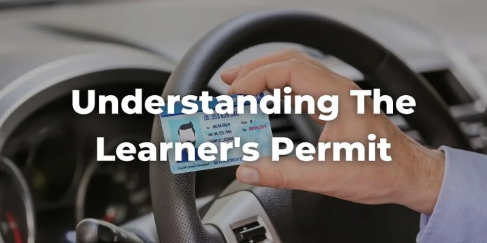 What Happens If You Get In A Car Accident With Only A Permit? Car accident with learners permit
