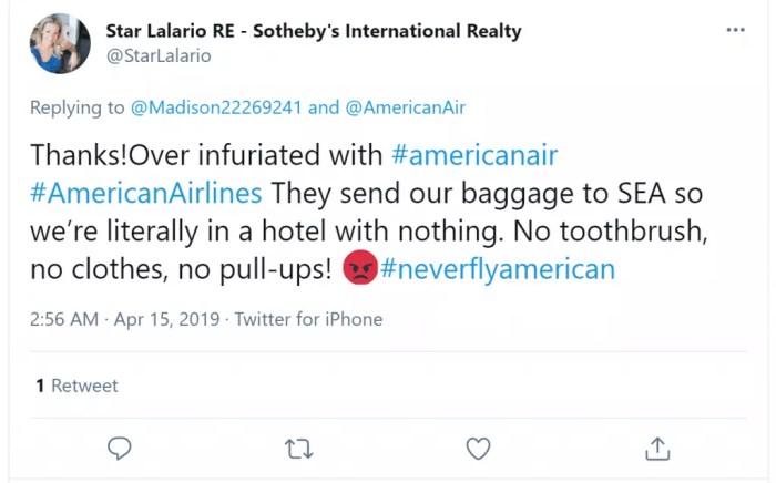Can you take electric toothbrush on plane