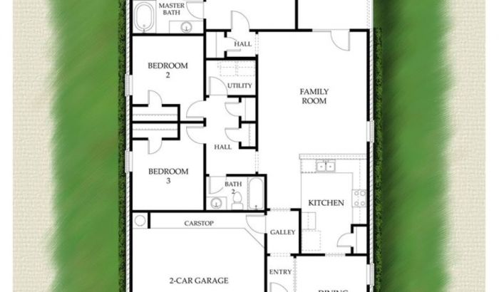 Maple plan