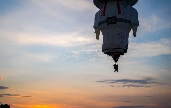 Leon hot air balloon festival