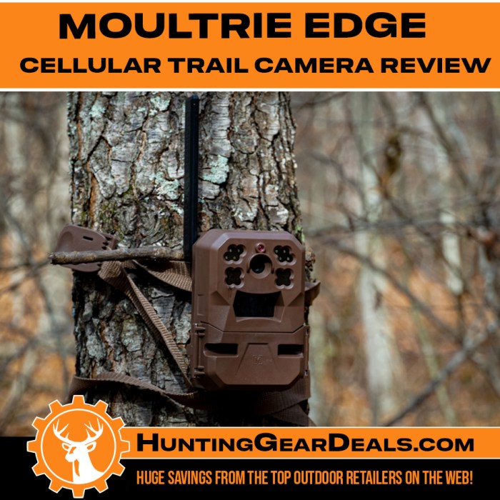 Moultrie plans bowsite annually allows option Moultrie plans bowsite annually allows option