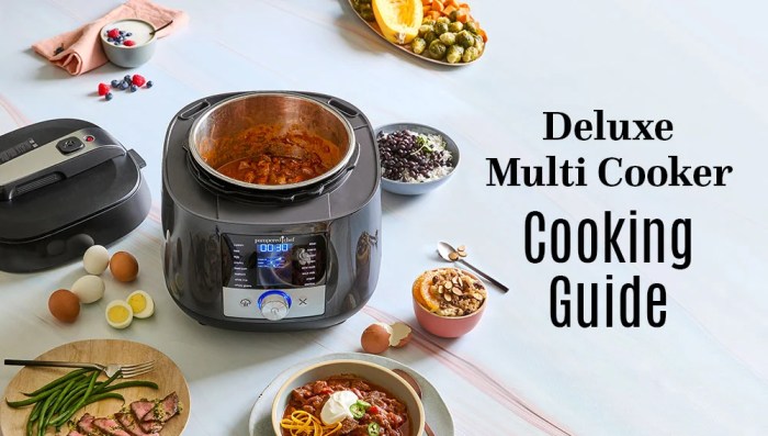 Cooker Pampered chef quick cooker