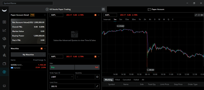 Webull top gainers